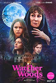 The Watcher in the Woods (2017)