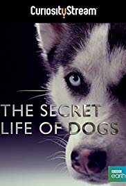 Secret Life of Dogs (2013)