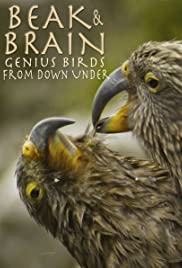 Beak & Brain Genius Birds from Down Under (2013)