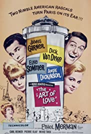 The Art of Love (1965)