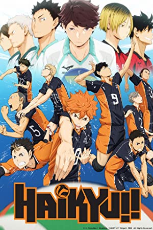 Haikyuu!! (2014 )