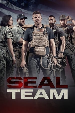 SEAL Team (2017)