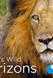 Africas Wild Horizons (2015 2016)