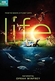 Life (2009)