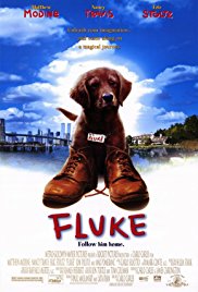 Fluke (1995)