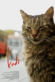 Kedi (2016)